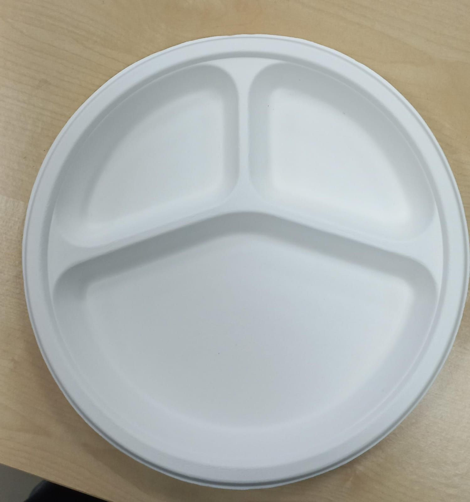 Bagasse Paper Plate
