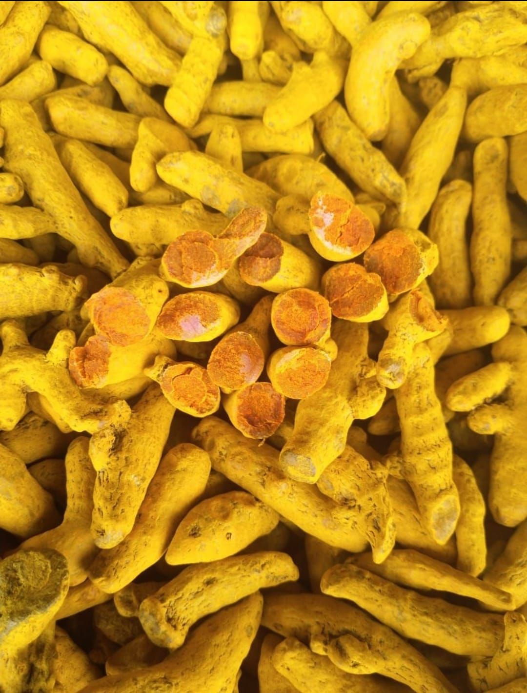 Turmeric Finger