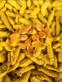 Turmeric Finger