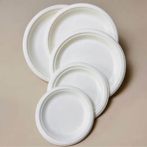 Bagasse Paper Plate